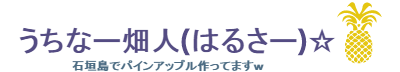 うちなー畑人(はるさー)☆